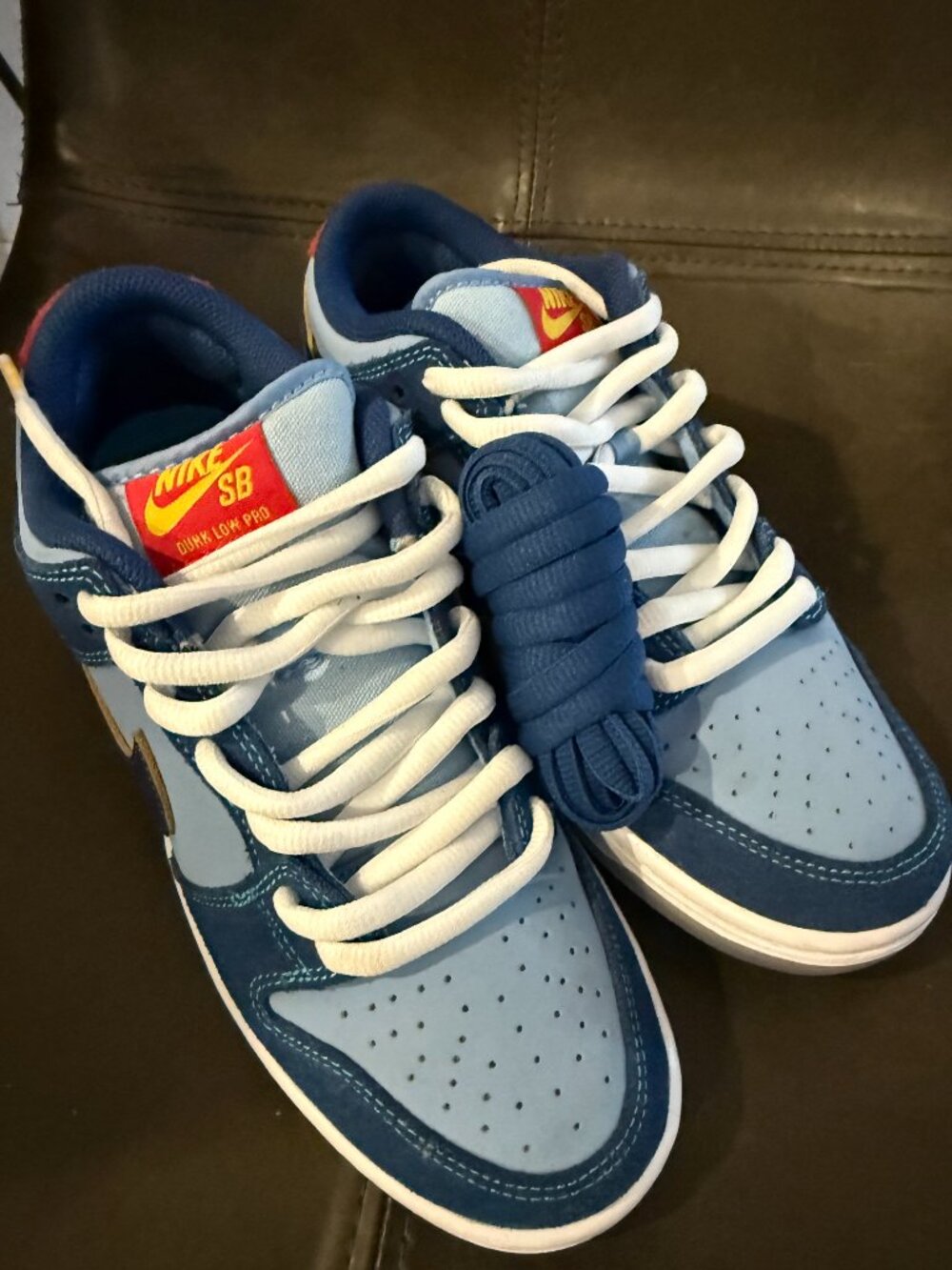 Nike SB Dunk Low Pro - Why so sad?